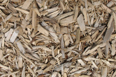 biomass boilers Rhiwinder